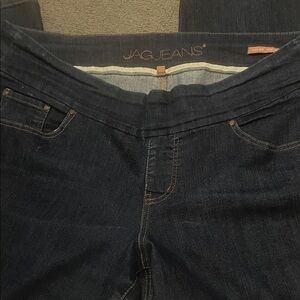 Jag Jeans Women's Dark Indigo Stretch Jeggings